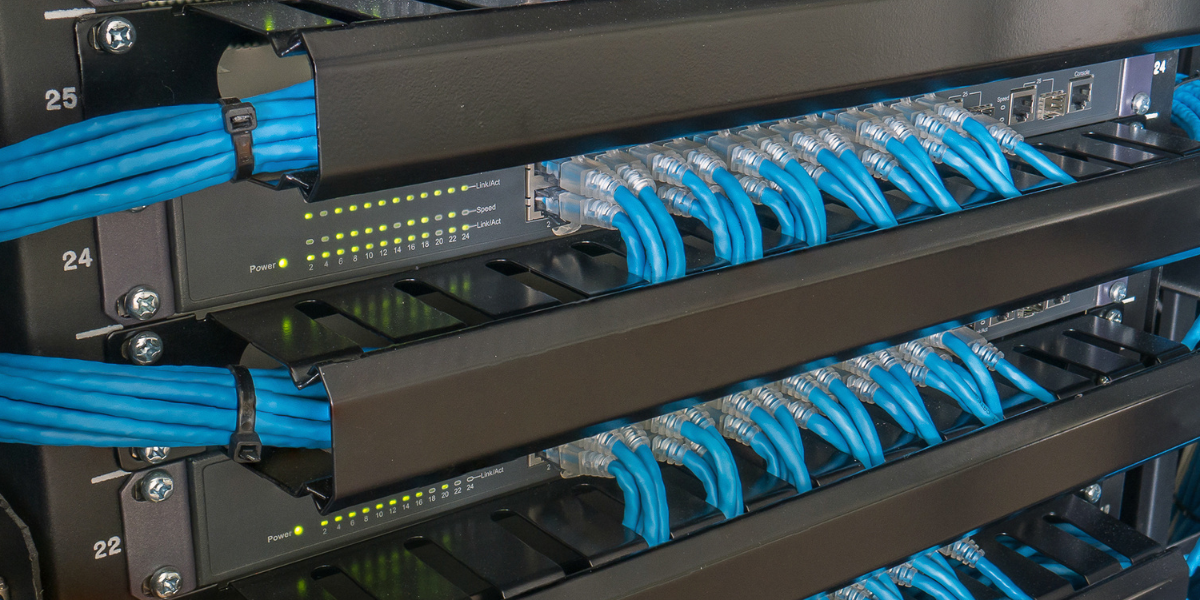 Blue network cables going into a black network switch