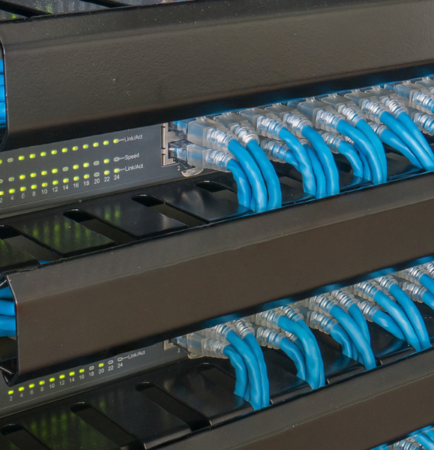 Blue network cables going into a black network switch