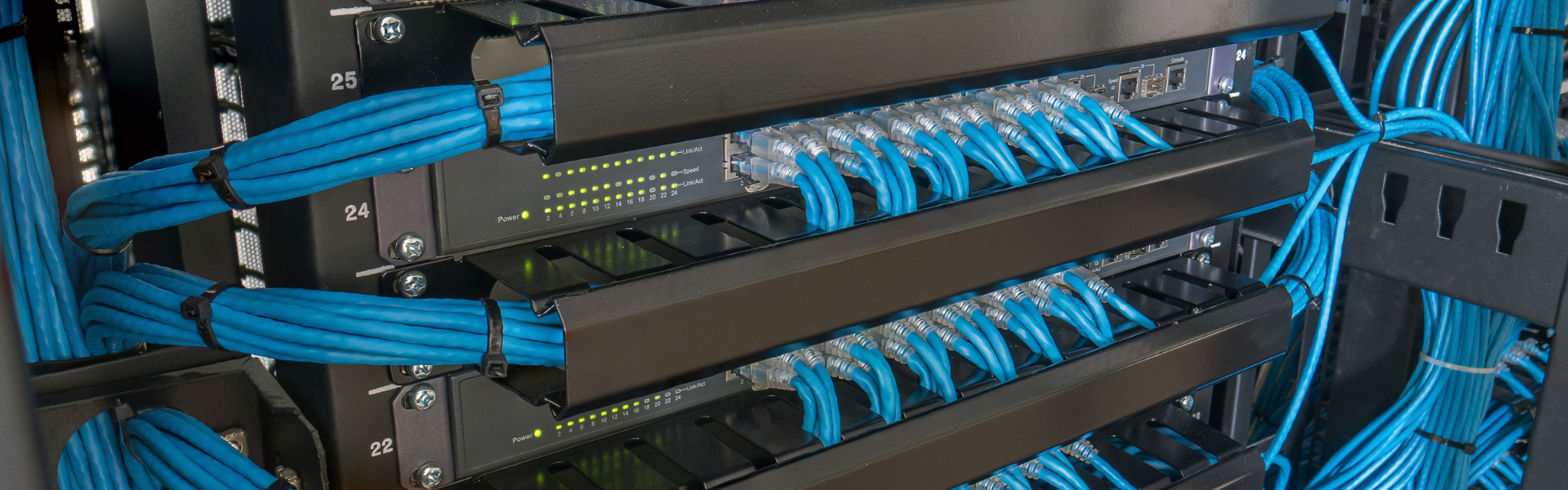 Blue network cables going into a black network switch
